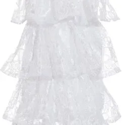 Overig Jabot Wit Met Kant