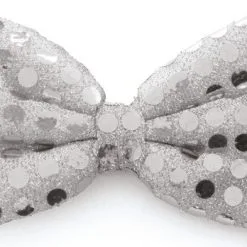 Overig Strikje Pailletten Zilver