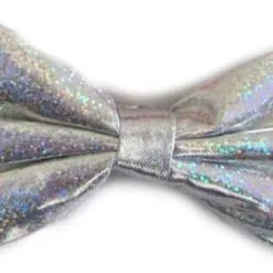 Overig Strikje Satijn Luxe Zilver Hologram